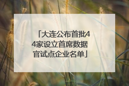 大连公布首批44家设立首席数据官试点企业名单