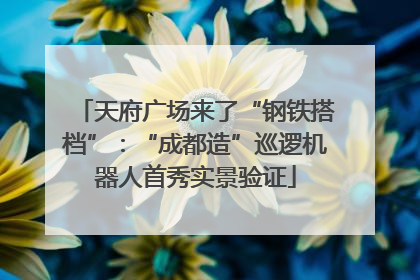 天府广场来了“钢铁搭档”：“成都造”巡逻机器人首秀实景验证