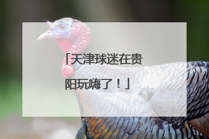 天津球迷在贵阳玩嗨了！