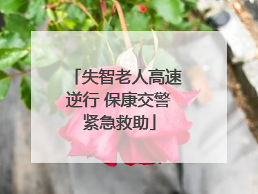 失智老人高速逆行 保康交警紧急救助