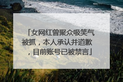 女网红曾聚众吸笑气被抓，本人承认并道歉，目前账号已被禁言