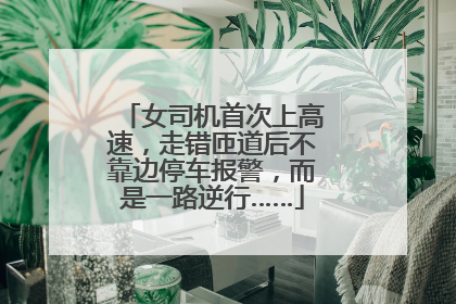 女司机首次上高速，走错匝道后不靠边停车报警，而是一路逆行……
