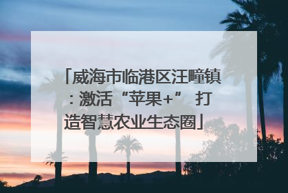 威海市临港区汪疃镇：激活“苹果+” 打造智慧农业生态圈