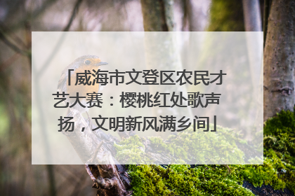 威海市文登区农民才艺大赛：樱桃红处歌声扬，文明新风满乡间