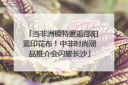 当非洲模特邂逅邵阳蓝印花布！中非时尚潮品推介会闪耀长沙