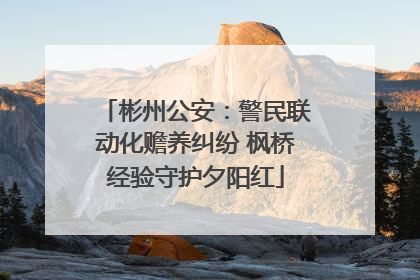 彬州公安：警民联动化赡养纠纷 枫桥经验守护夕阳红