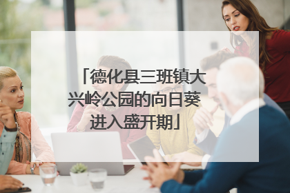 德化县三班镇大兴岭公园的向日葵进入盛开期