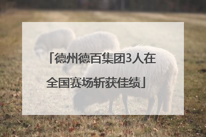 德州德百集团3人在全国赛场斩获佳绩