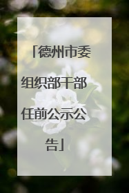 德州市委组织部干部任前公示公告