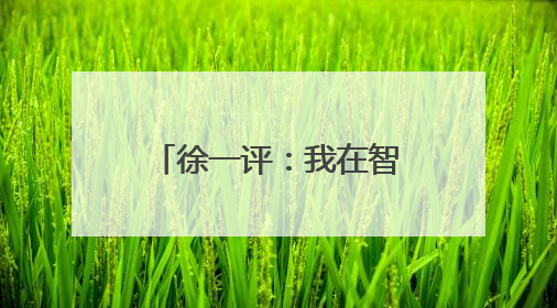 徐一评：我在智利建中国商城