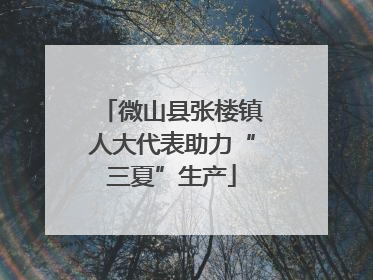 微山县张楼镇人大代表助力“三夏”生产