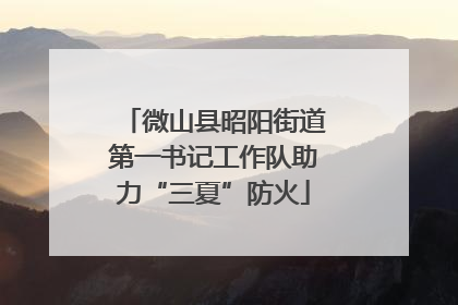 微山县昭阳街道第一书记工作队助力“三夏”防火