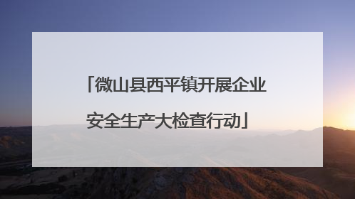 微山县西平镇开展企业安全生产大检查行动