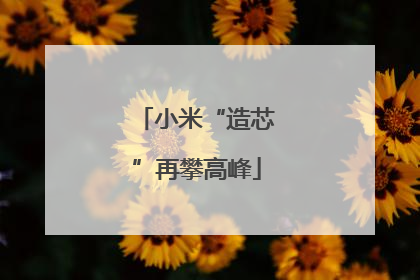 小米“造芯”再攀高峰