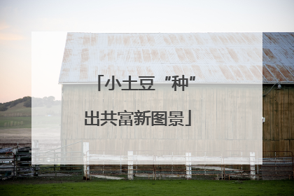 小土豆“种”出共富新图景