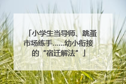 小学生当导师、跳蚤市场练手……幼小衔接的“宿迁解法”