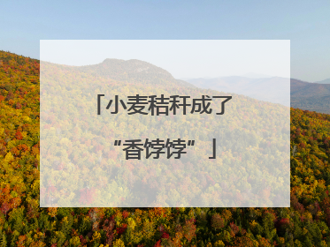 小麦秸秆成了“香饽饽”