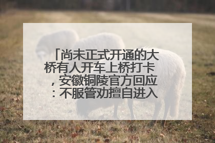 尚未正式开通的大桥有人开车上桥打卡，安徽铜陵官方回应：不服管劝擅自进入，已采取措施