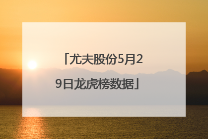尤夫股份5月29日龙虎榜数据