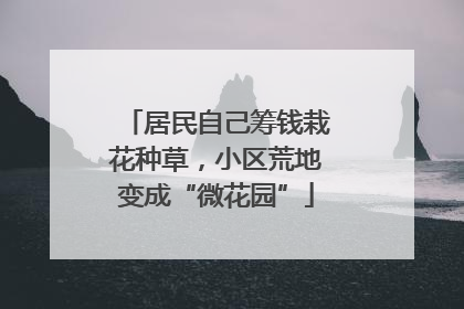 居民自己筹钱栽花种草，小区荒地变成“微花园”
