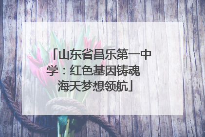 山东省昌乐第一中学：红色基因铸魂 海天梦想领航