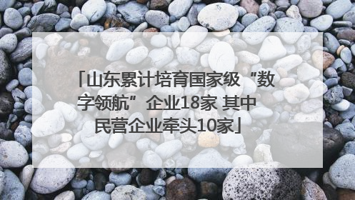 山东累计培育国家级“数字领航”企业18家 其中民营企业牵头10家