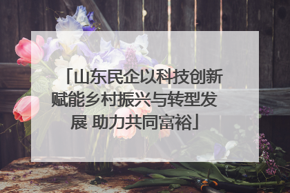 山东民企以科技创新赋能乡村振兴与转型发展 助力共同富裕