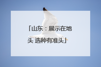 山东：展示在地头 选种有准头