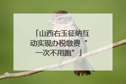 山西右玉征纳互动实现办税缴费“一次不用跑”