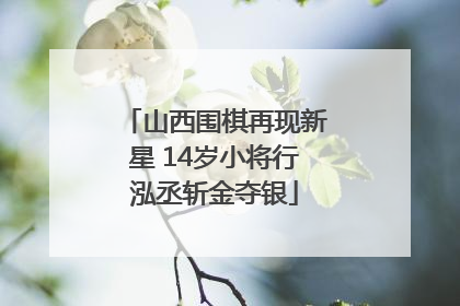 山西围棋再现新星 14岁小将行泓丞斩金夺银
