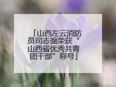 山西左云消防员司志强荣获“山西省优秀共青团干部”称号