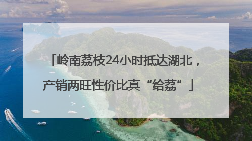 岭南荔枝24小时抵达湖北，产销两旺性价比真“给荔”