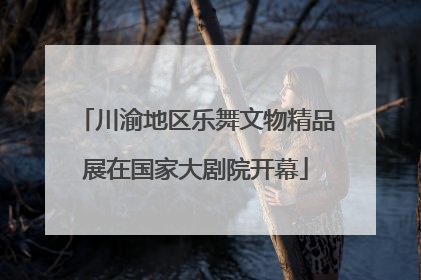 川渝地区乐舞文物精品展在国家大剧院开幕
