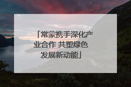 常蒙携手深化产业合作 共塑绿色发展新动能