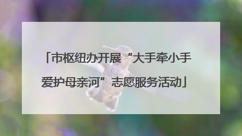 市枢纽办开展“大手牵小手 爱护母亲河”志愿服务活动