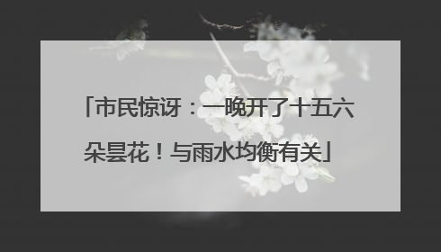 市民惊讶：一晚开了十五六朵昙花！与雨水均衡有关