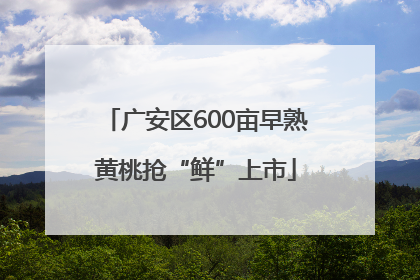 广安区600亩早熟黄桃抢“鲜”上市
