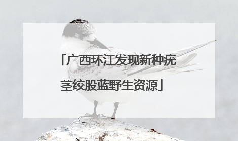 广西环江发现新种疣茎绞股蓝野生资源