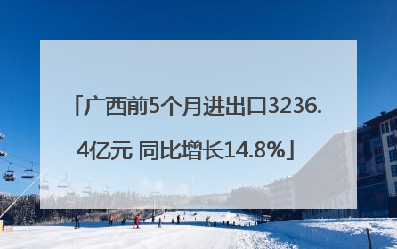 广西前5个月进出口3236.4亿元 同比增长14.8%