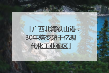 广西北海铁山港：30年蝶变超千亿现代化工业强区