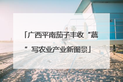 广西平南茄子丰收“蔬”写农业产业新图景