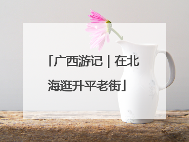广西游记｜在北海逛升平老街