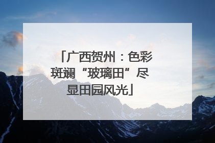 广西贺州：色彩斑斓“玻璃田”尽显田园风光