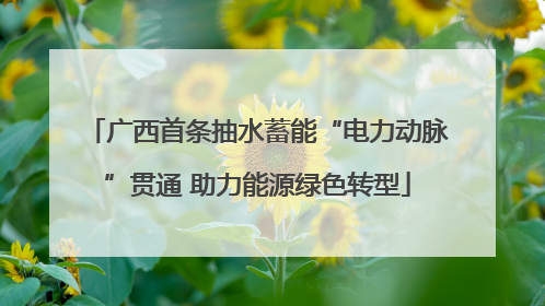 广西首条抽水蓄能“电力动脉”贯通 助力能源绿色转型