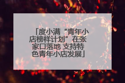 度小满“青年小店榜样计划”在张家口落地 支持特色青年小店发展