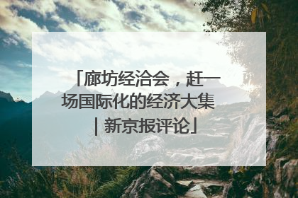 廊坊经洽会，赶一场国际化的经济大集｜新京报评论