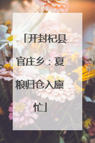 开封杞县官庄乡：夏粮归仓入廪忙