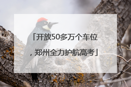开放50多万个车位，郑州全力护航高考