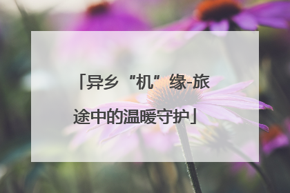 异乡“机”缘-旅途中的温暖守护
