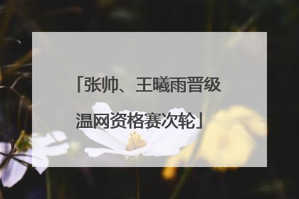 张帅、王曦雨晋级温网资格赛次轮
